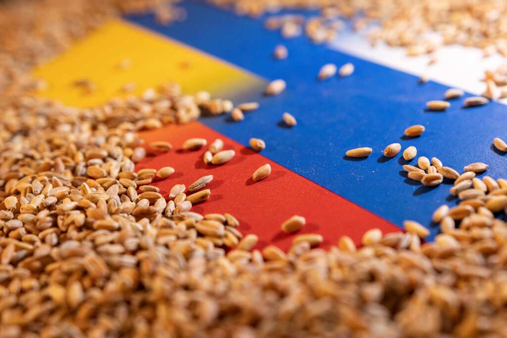 Black Sea grain export deal extended for 120 days, says Ukrainian minister