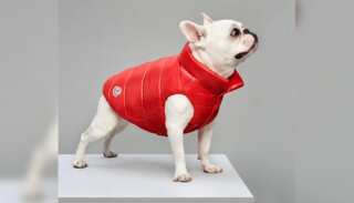 WION Fineprint | Moncler puffer jackets for paw friends