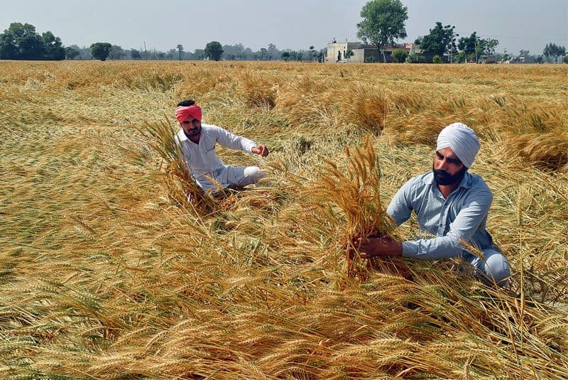 WION Climate Tracker: India opposes action to cut farming emissions