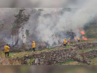 WION Climate Tracker | Peru: Wildfire kills at least 36 Vicunas