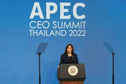 US VP Kamala Harris meets Chinese President Xi Jinping at APEC in Bangkok, calls for 'open talks'