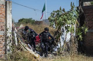 How a dog helped Mexican authorities find unclaimed bodies