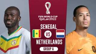 FIFA World Cup 2022, Senegal vs. Netherlands match prediction & fantasy tips: Who will win the face-off?