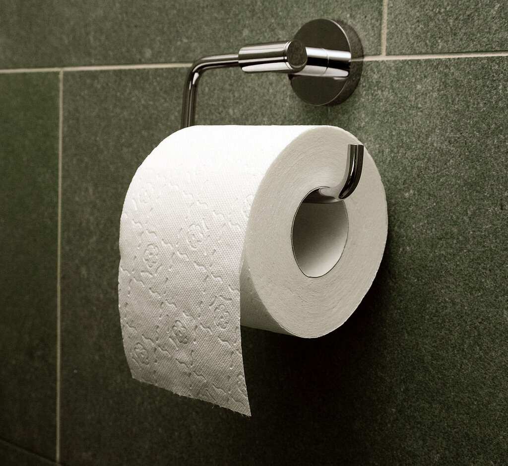 WION Fineprint: Toilet paper to rescue Japan's suicidal youth?