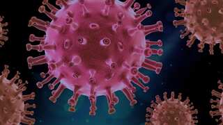 WHO works on identifying pathogens that could cause future pandemics