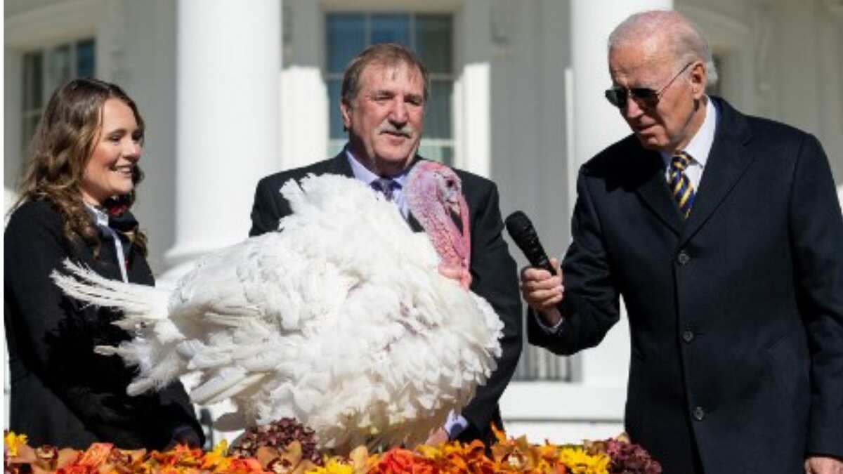 Biden takes potshots at GOP as he pardons 'Chocolate' and 'Chip'; has 'Friendsgiving' dinner with marines Biden takes potshots at GOP as he pardons 'Chocolate' and 'Chip'; has 'Friendsgiving' dinner with marines