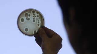 Bacterial infections killed nearly eight million people, second-leading cause of death in 2019: Study