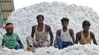 India's cotton exports stall as farmers delay sales hoping for higher prices