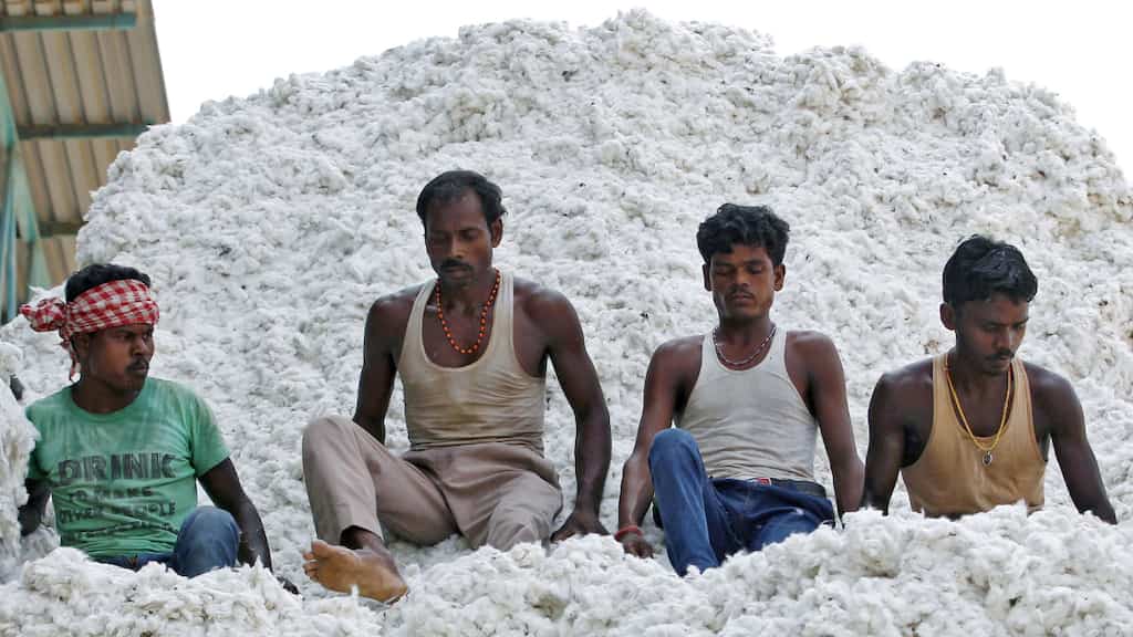 India's cotton exports stall as farmers delay sales hoping for higher prices
