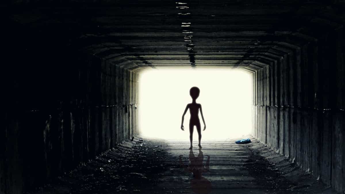 Edinburgh man finds fluorescent green 'ALIEN' while walking on the beach, check here what it actually was