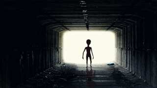 Edinburgh man finds fluorescent green 'ALIEN' while walking on the beach, check here what it actually was