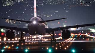 US military plane forced to make emergency landing after it collides with flock of birds 