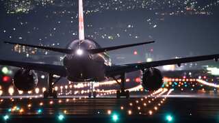 US military plane forced to make emergency landing after it collides with flock of birds 