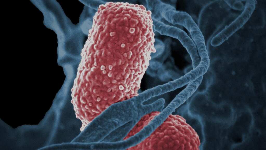 Hospitals are MORE RISKY than farms, Here's why