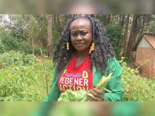 WION Climate Tracker: Kenya turns to genetically modified crops