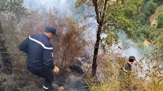 Mediterranean continues to burn as wildfires kill more than 40