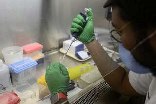 Vaccinated people accounting for majority of Covid deaths in the US: Report