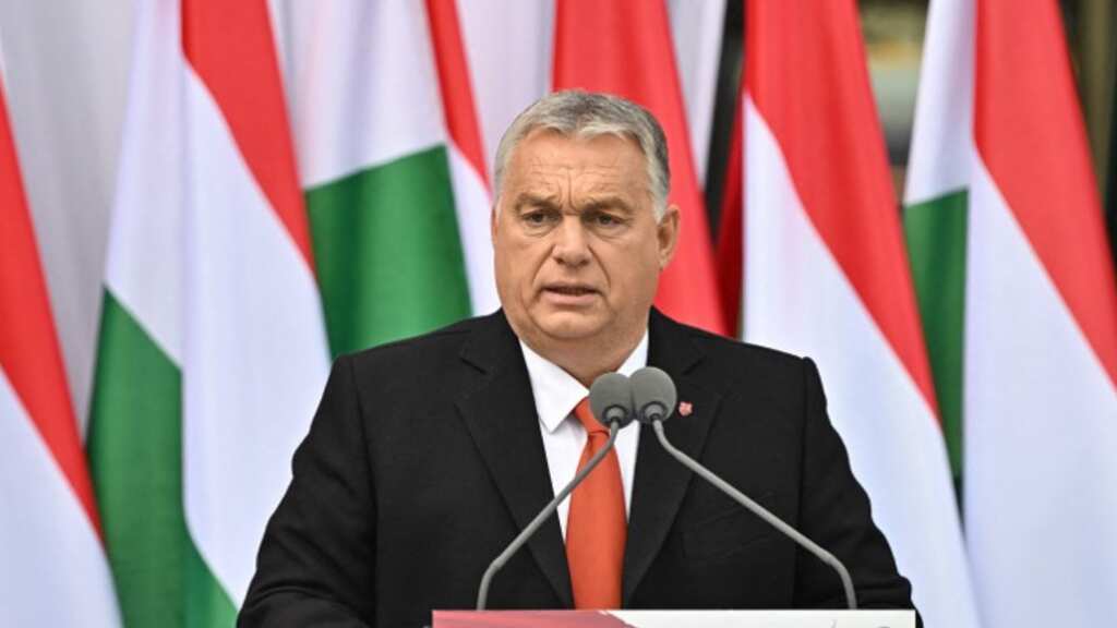 PM Victor Orban says Hungary will back Finland and Sweden's NATO bid next year