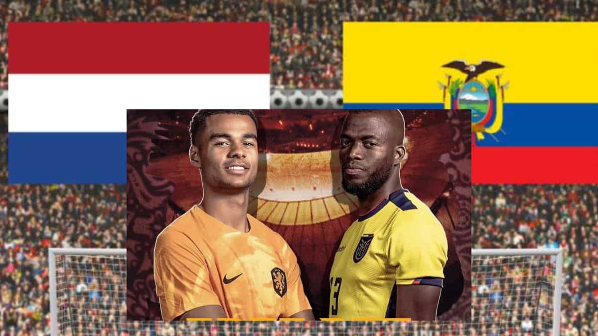 FIFA World Cup 2022: Netherlands vs Ecuador H2H preview, prediction and lineup FIFA World Cup 2022: Netherlands vs Ecuador H2H preview, prediction and lineup