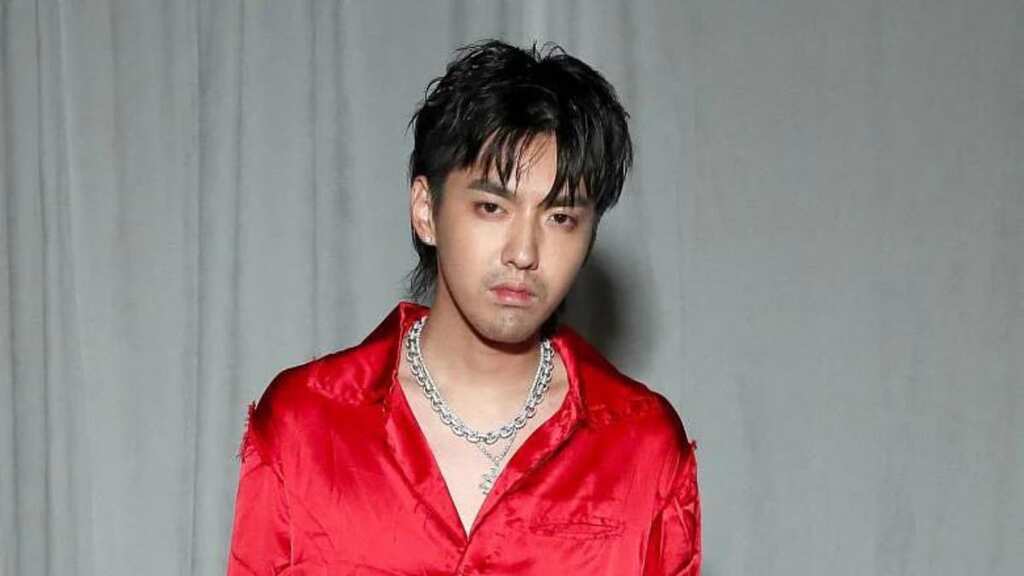 Chinese-Canadian singer Kris Wu sentenced to 13 years for sex crimes