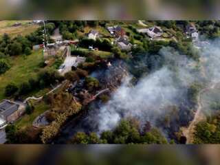WION Climate Tracker: Over 20,000 died in heat waves in Europe