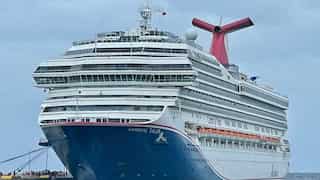USA: Cruise passenger falls aboard, rescued in 'thanksgiving miracle' after 24 hours