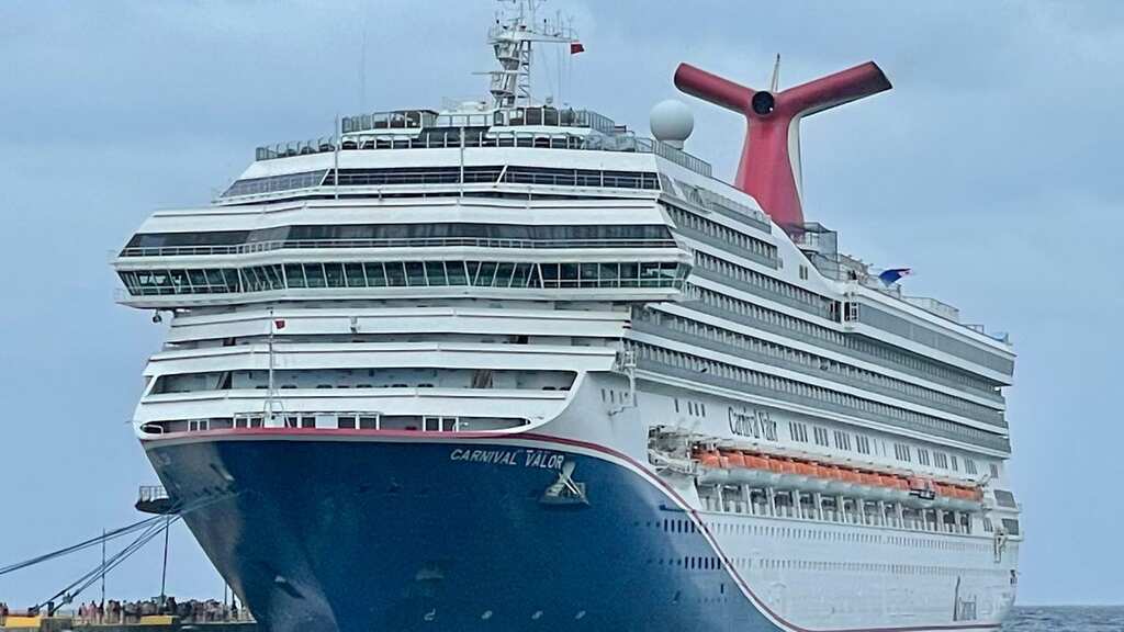 USA: Cruise passenger falls aboard, rescued in 'thanksgiving miracle' after 24 hours