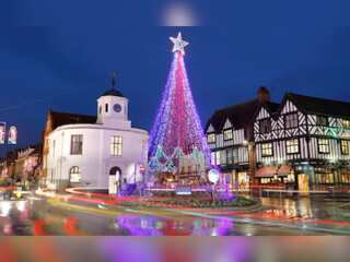 Europe puts up Christmas lights amid energy crisis, White House gets its tree