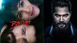 Bhediya weekend collection: The horror-comedy makes a decent total over the weekend from a low start