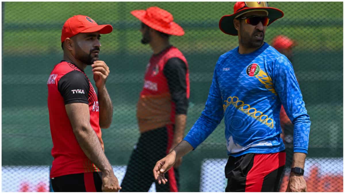 2023 Cricket World Cup standings released - 7 teams directly qualify, Afghanistan make the cut 2023 Cricket World Cup standings released - 7 teams directly qualify, Afghanistan make the cut