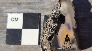 Analysis of meteorite reveals two alien 'never before seen on Earth' minerals