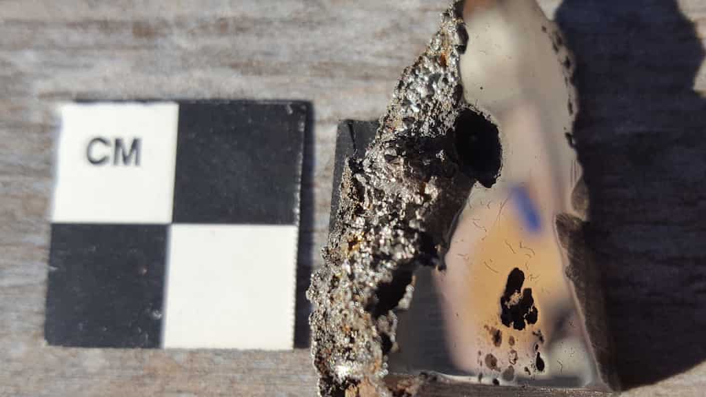 Analysis of meteorite reveals two alien 'never before seen on Earth' minerals