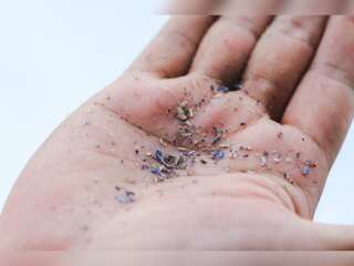 WION Climate Tracker: Microplastics found in fresh Antarctica snow for first time