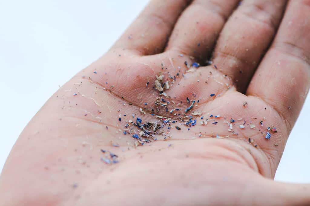 WION Climate Tracker: Microplastics found in fresh Antarctica snow for first time