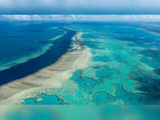 WION Climate Tracker | UN: Great Barrier Reef should be on heritage 'danger' list