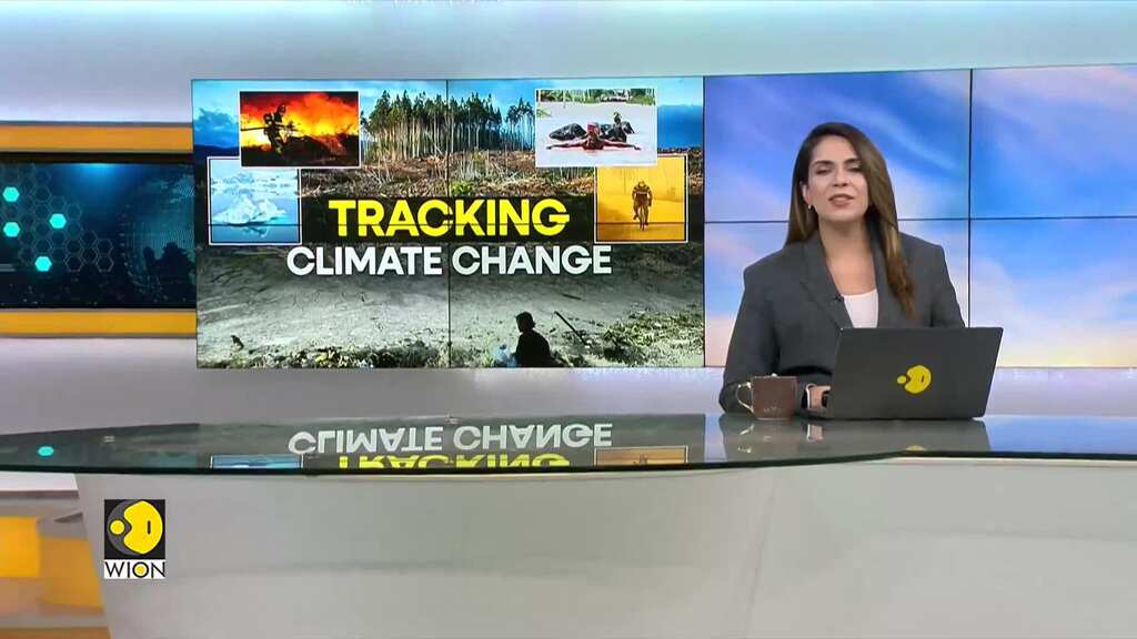 WION Climate Tracker: Animals relish Christmas treats at Zoo in London