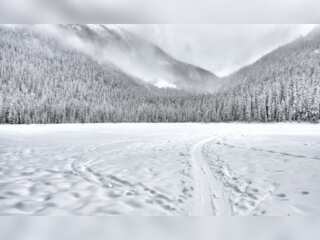 WION Climate Tracker: Electricity from snow? Japan's Aomori to conduct snow power trials