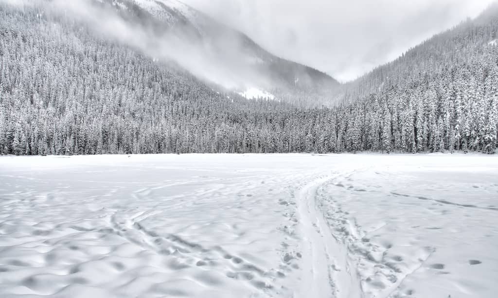 WION Climate Tracker: Electricity from snow? Japan's Aomori to conduct snow power trials