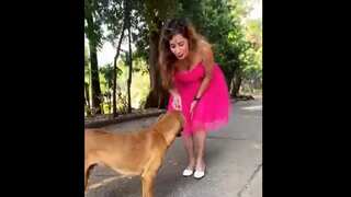 Instagram 'influencer' kicks a dog and calls herself animal lover in a viral video
