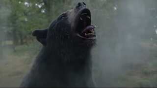 'Cocaine Bear' trailer: A cocaine-addled bear begins to murder people in this film based on true story. Watch