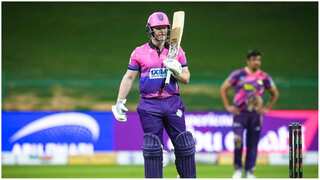 Abu Dhabi T10 League: Delhi Bulls vs New York Strikers match prediction, live stream details