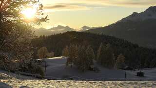 By 2025, funds for nature conservation must total $384 billion annually: UNEP