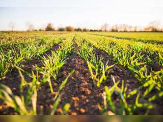 World Business Watch: Agri tech start-up investment add $4.6 billion in FY 22