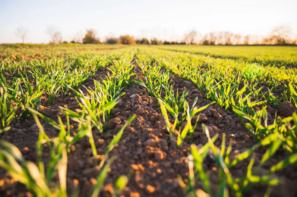 World Business Watch: Agri tech start-up investment add $4.6 billion in FY 22