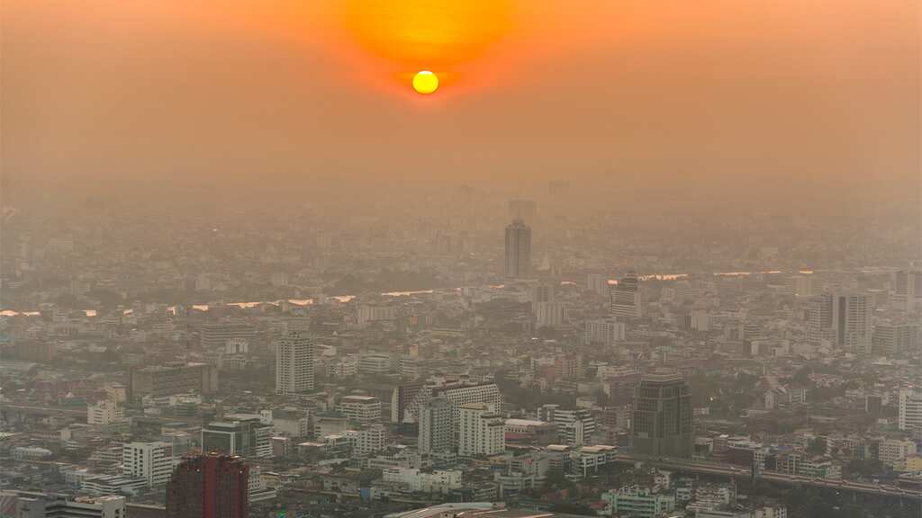 WION Climate Tracker: Climate crisis in Bolivia as smoke covers capital