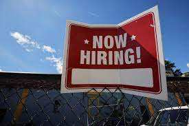 US hiring remains robust in November; adds 263,000 new jobs despite soaring inflation