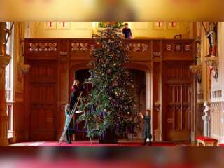 UK: King Charles' estate Windsor Castle showcases 20-foot-high Fir tree