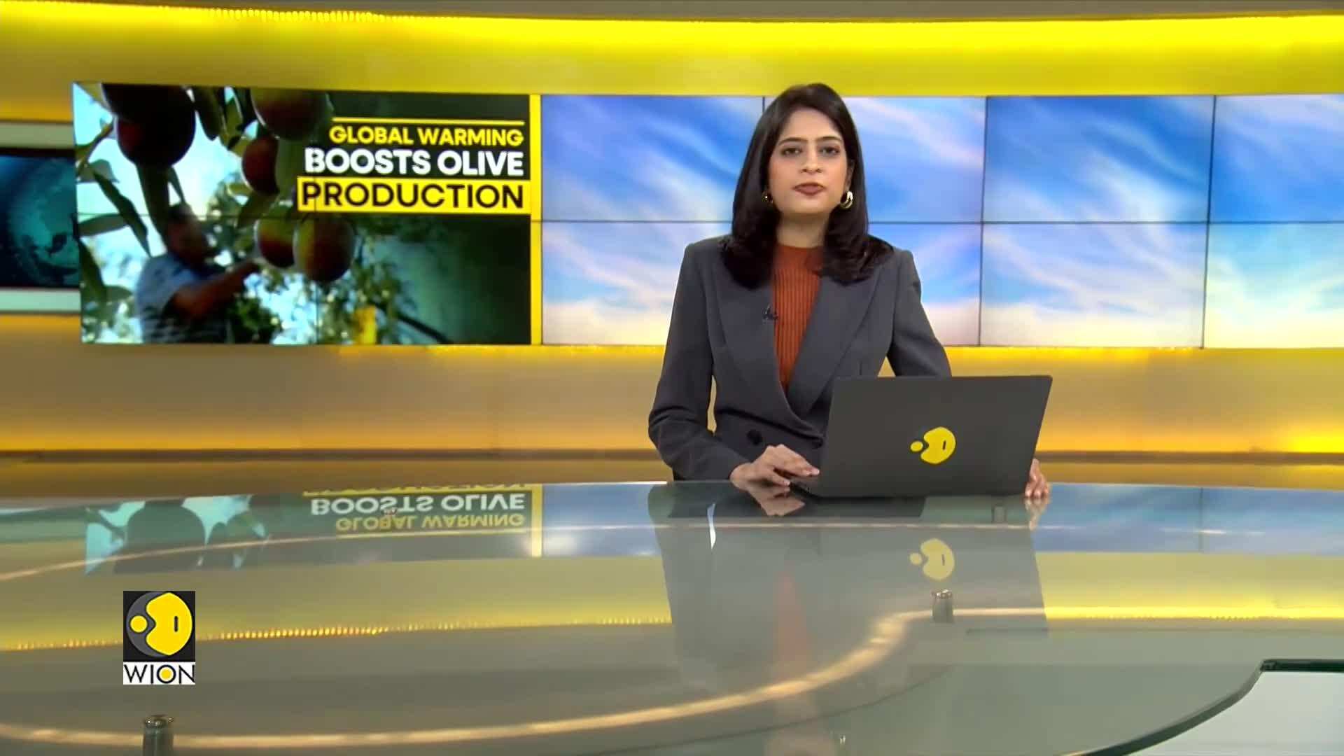 Wion Climate Tracker Global Warming Boosts Olive Production World News