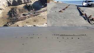 Florida beach chucks up a weird 80 feet object, what it is remains 'a mystery'