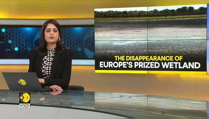 WION Climate Tracker: Spain's Donana wetlands go dry